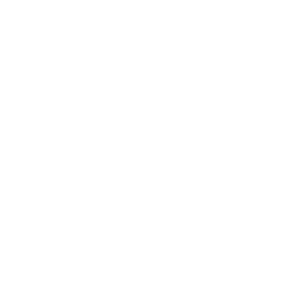 Abstract Shape