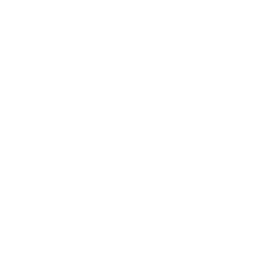Abstract Shape